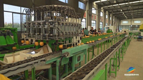 Forum usluga o porijeklu prve standardizacije voća